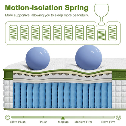 BedStory 34cm Double Latex Hybrid Mattress Medium Firm - 5 Zone Pocket Spring Bed for Pressure Relief Motion Isolation
